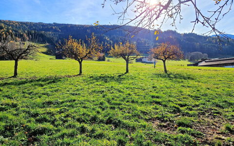 Weerberg 1: Græs, Grøn, Naturligt Miljø, Græs-, Naturlige Landskab, Almindeligt, Mark, Pasture, Sommer, Landskab
