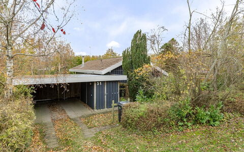 Mika - 300M from the Sea: Sommerhus, Backyard, Gård, Garden Bygninger, Skur, Sidespor, Udendørs Møbler, Bjælkehytte, Udendørs Struktur, Hytte
