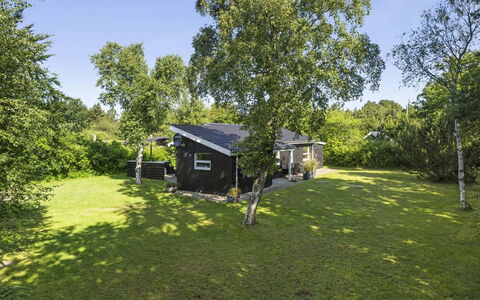 Elaina - 290M from the Sea: Tag, Hjem, Dør, Sommerhus, Skygge, Sidespor, Gård, Estate, Backyard