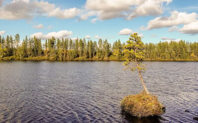 Kultaranta Ii