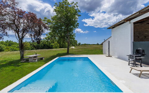 Golden Roots: Blå, Svømmepøl, Kompositmateriale, Skygge, Estate, Water Feature, Landscaping, Backyard, Stuehus, Villa