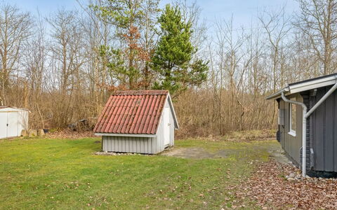 Leandra - 11Km from the Sea: Træ, Græs, Træ, Afdeling, Tag, Skur, Land Lot, Landdistrikt, Hjem