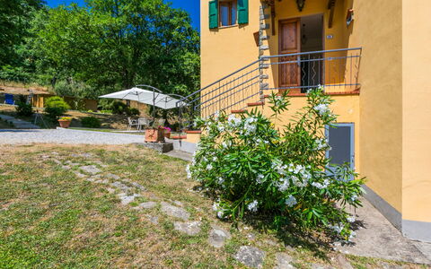 Giorgina: Busk, Have, Backyard, Gård, Landscaping, Estate, Skygge, Hacienda, Flise, Villa