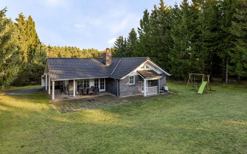 Ørger - 30Km from the Sea: Tag, Hus, Hjem, Sommerhus, Dør, Sidespor, Dæk, Veranda, Planke, Hårdttræ