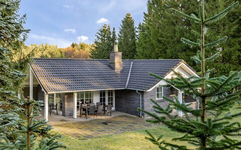 Ørger - 30Km from the Sea: Tag, Hus, Hjem, Sommerhus, Dør, Sidespor, Dæk, Veranda, Planke, Hårdttræ