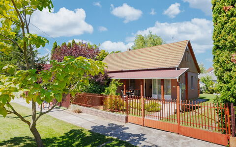 Wild Grape: Hus, Busk, Hjem, Sommerhus, Tag, Have, Skygge, Veranda, Gård