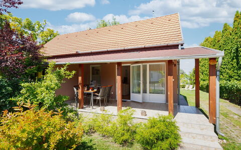 Wild Grape: Træ, Hus, Tag, Busk, Hjem, Sommerhus, Dør, Veranda, Have