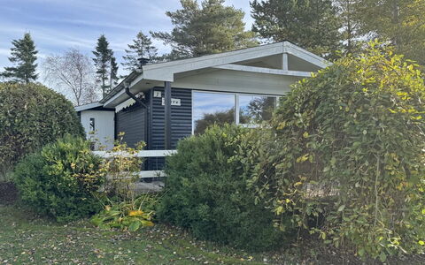 Felicia - from the Sea: Busk, Hus, Hjem, Tag, Sommerhus, Sidespor, Have, Gård, Garden Bygninger, Skygge