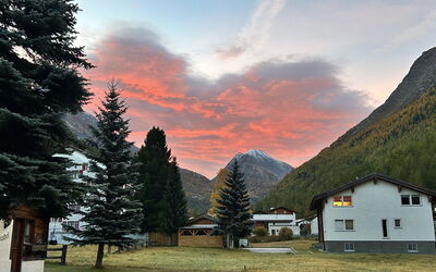 Alpenstern