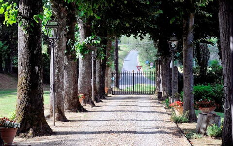 Villa Medicea Lo Sprocco: Busk, Walkway, Have, Bagagerum, Indkørsel, Sti, Fortov, Skygge, Landscaping, Flise
