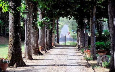 Villa Medicea Lo Sprocco