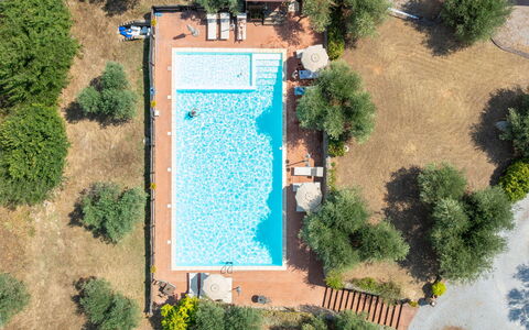 Campiglia Marittima 649: Svømmepøl, Udvej, Thermae, Eco Hotel, Udendørs Møbler, Hacienda, Estate, Hotel, Villa, Ferieby