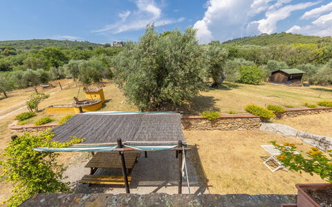 Campiglia Marittima 649: Landskab, Landdistrikt, Land Lot