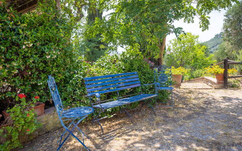 Campiglia Marittima 649: Blå, Udendørs Bench, Møbel, Udendørs Møbler, Bænk, Have, Bunddække, Skygge, Parkere