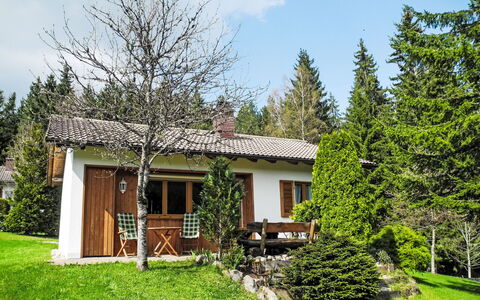 Licht: Træ, Vindue, Hus, Sommerhus, Busk, Hjem, Tag, Have, Stuehus, Lawn