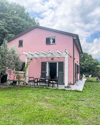 Le Radici Dell'Ulivo
