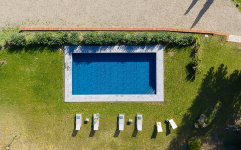 La Morella: Svømmepøl, Fritid, Have, Lawn, Udendørs Møbler, Landscaping, Udvej, Kunstgræs, Water Feature, Backyard