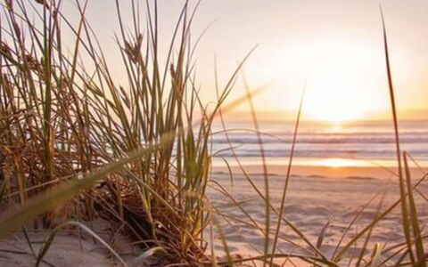 De Bosuil: Strand, Hav, Kyst, Morgen, Solopgang, Sand, Kyst, Ocean, Sollys, Solnedgang