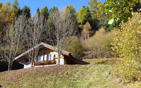 Chalet Genzianella: Græs, Træ, Træ, Hus, Tag, Sommerhus, Arkitektur, Landdistrikt, Busk, Hjem