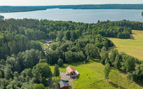 Teåker: Træ, Naturligt Miljø, Natur, Naturlige Landskab, Vegetationen, Landskab, Fugleperspektiv, Luftfotografering, Land Lot, Økoregion