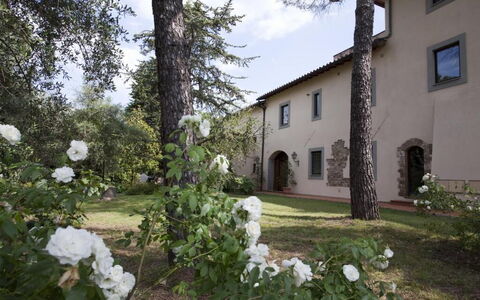 Relais de Ricci: Busk, Estate, Have, Hacienda, Indkørsel, Landscaping, Gård, Gårdsplads, Walkway, Backyard