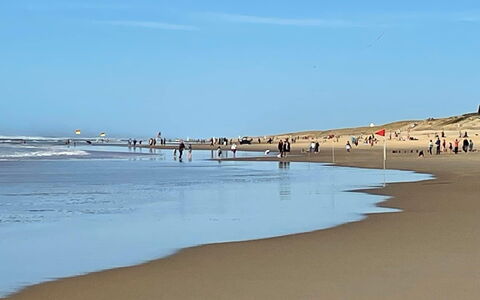 Chasseur: Strand, Krop Af Vand, Naturligt Miljø, Kyst, Kyst, Hav, Horisont, Sand, Coastal Og Oceaniske Landskabsformer