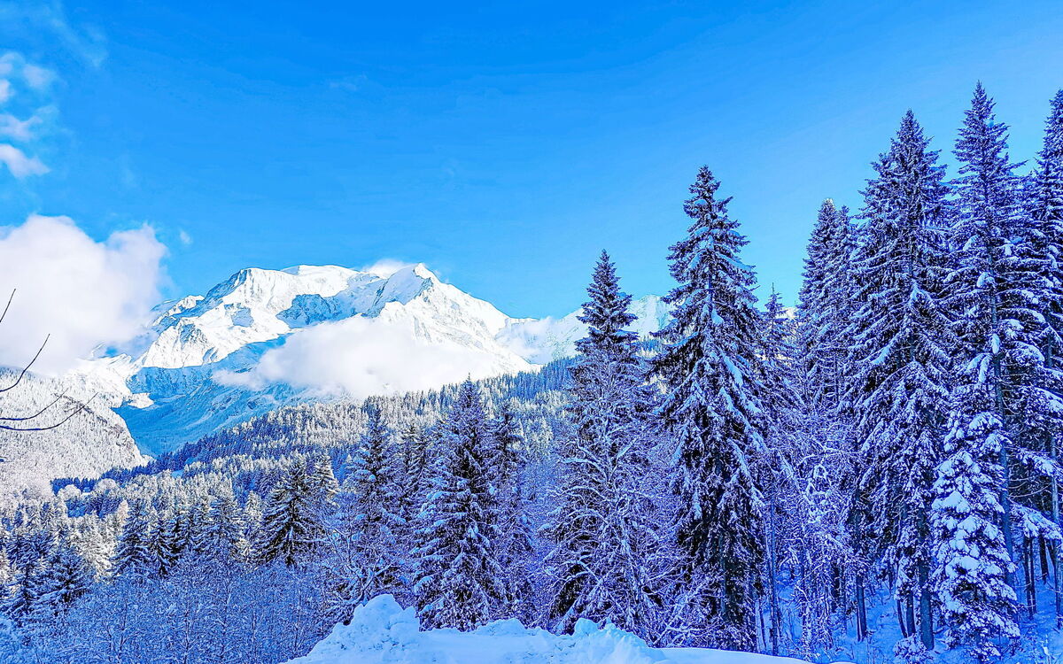 Saint Gervais 740