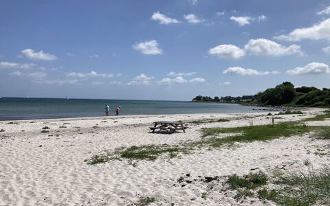 Rikulf - 150M from the Sea: Naturligt Miljø, Strand, Kyst, Coastal Og Oceaniske Landskabsformer, Kyst, Sommer, Hav, Sand, Ocean, Vind Wave