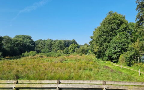 Assarina - 15M from the Sea: Hjem, Tag, Hus, Dør, Sommerhus, Skygge, Have, Bunddække, Veranda, Gård