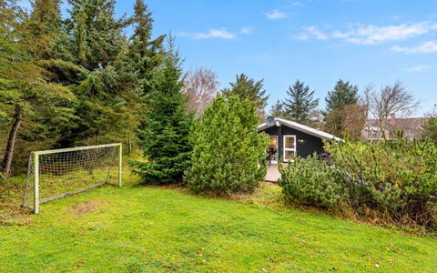 Veera - from the Sea: Busk, Have, Sommerhus, Lawn, Gård, Landscaping, Garden Bygninger, Lærk, Backyard