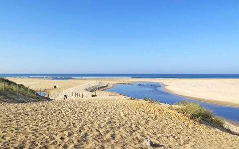 Villa Dune: Naturligt Miljø, Strand, Sand, Kyst, Horisont, Kyst, Coastal Og Oceaniske Landskabsformer, Økoregion, Hav