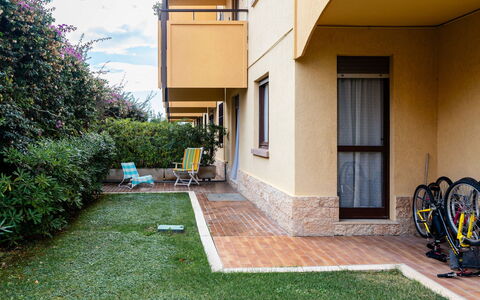 Dream House: Lawn, Have, Gård, Skygge, Landscaping, Backyard, Walkway, Gårdsplads, Indkørsel, Hacienda