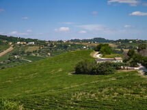 Villa Zena