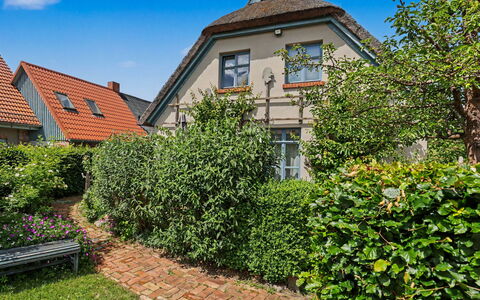 Reetgedecktes Ferienhaus Seelchen: Grøn, Væg, Busk, Hus, Boligområde, Have, Hjem, Hæk, Bunddække