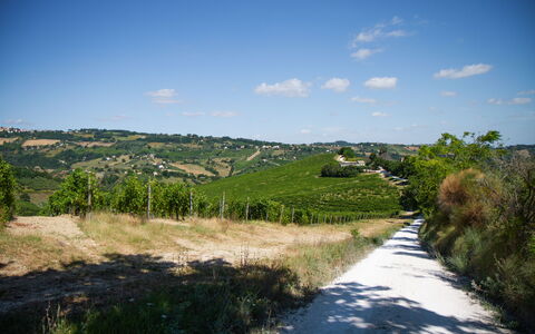 Zena Apartment: Grøn, Vegetationen, Naturlige Landskab, Græs-, Landskab, Bakke, Landdistrikt, Busk, Almindeligt