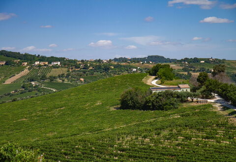 Zena Apartment: Grøn, Landbrug, Mark, Plantation, Landdistrikt, Almindeligt, Græs-, Landskab, Land Lot