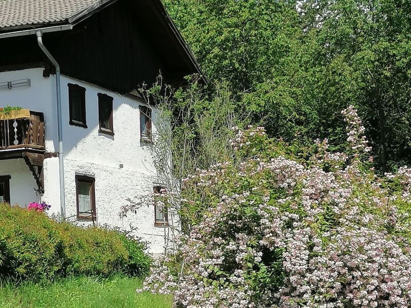 Riedbach in Mutters