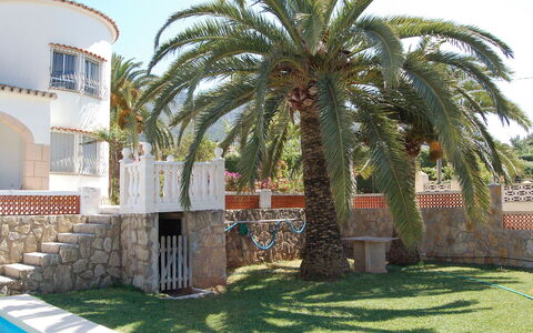 Casa Pia: Træ, Palme Træ, Ejendom, Arecales, Daddelpalme, Arkitektur, Hus, Plante, Bygning, Vedplante