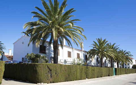 El Palmar: Himmel, Plante, Bygning, Daytime, Træ, Vindue, Arecales, Krop Af Vand, Landskab, Vedplante