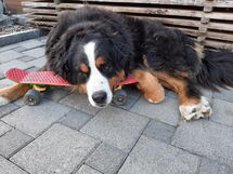 Haglere, Birkenhof (6-Bett)