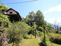 Charmantes Tessiner Haus mit Absoluter Privatsphär