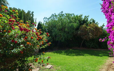 Tesoro Park