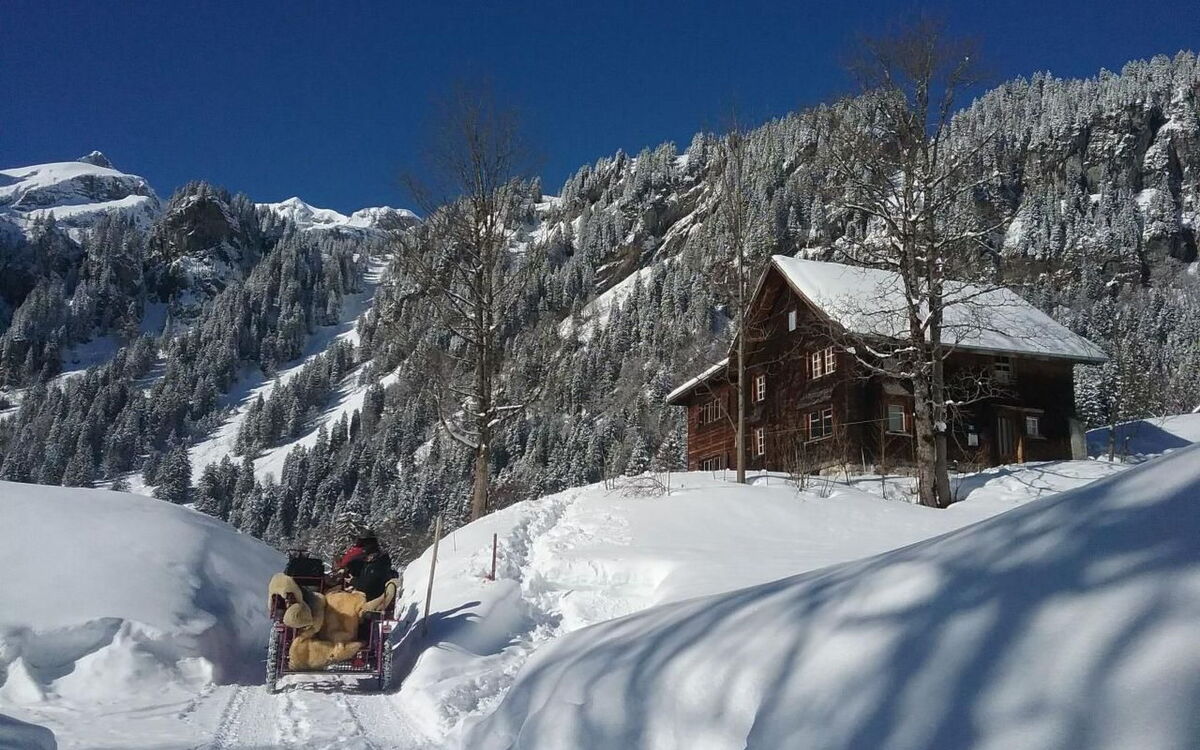 Rietberg 8 Braunwald