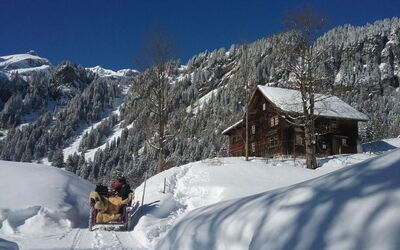 Rietberg 8 Braunwald