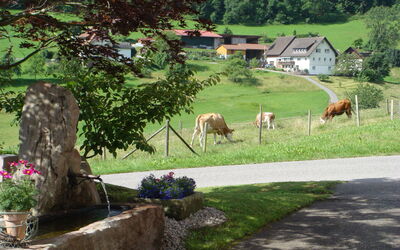 Fewo Weissenbach