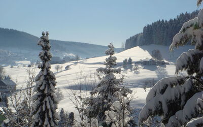 Fewo Weissenbach