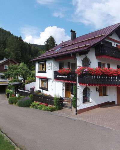 Fewo Weissenbach