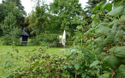Landhaus Wildfeuer