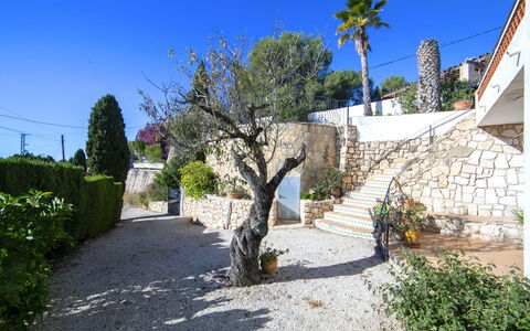 Carolina: Blå, Busk, Have, Landscaping, Skygge, Flise, Hacienda, Walkway