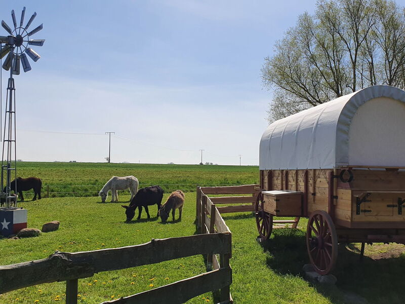 Horse Lake Ranch
